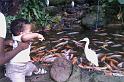 KL_BirdPark (5)